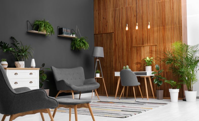 Accent Wall Ideas for Apartment Interiors
