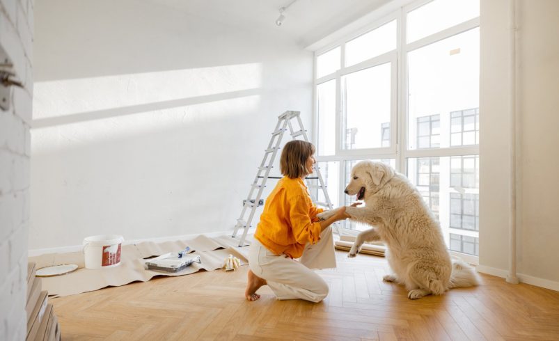 Apartment Painting: Temporary vs Permanent Solutions