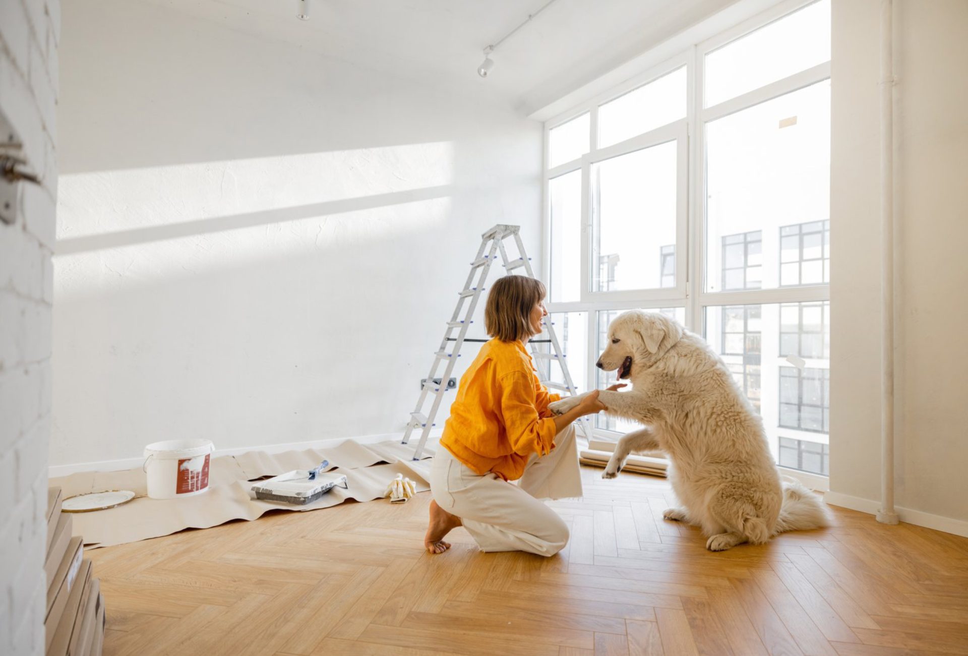Apartment Painting: Temporary vs Permanent Solutions
