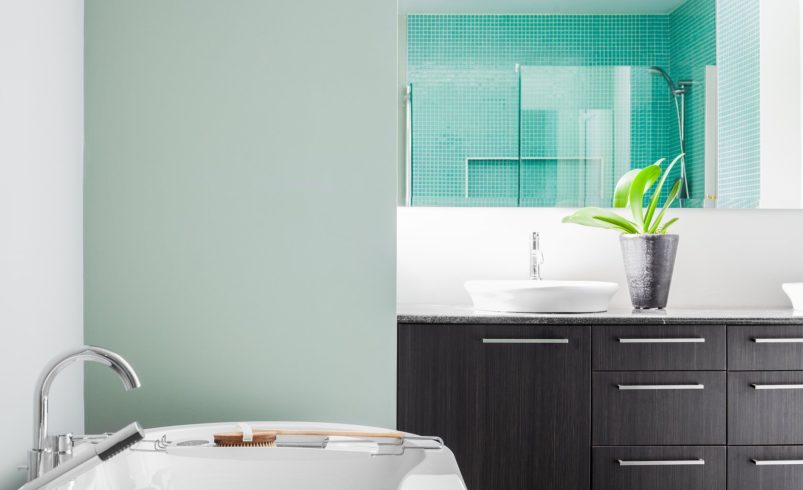 Best Moisture-Resistant Paints for Bathrooms