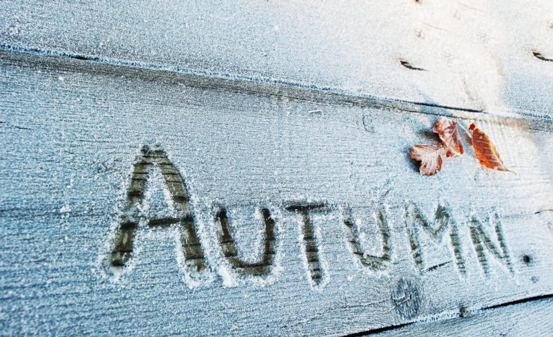 Best Paint Types for Autumn Exterior Projects