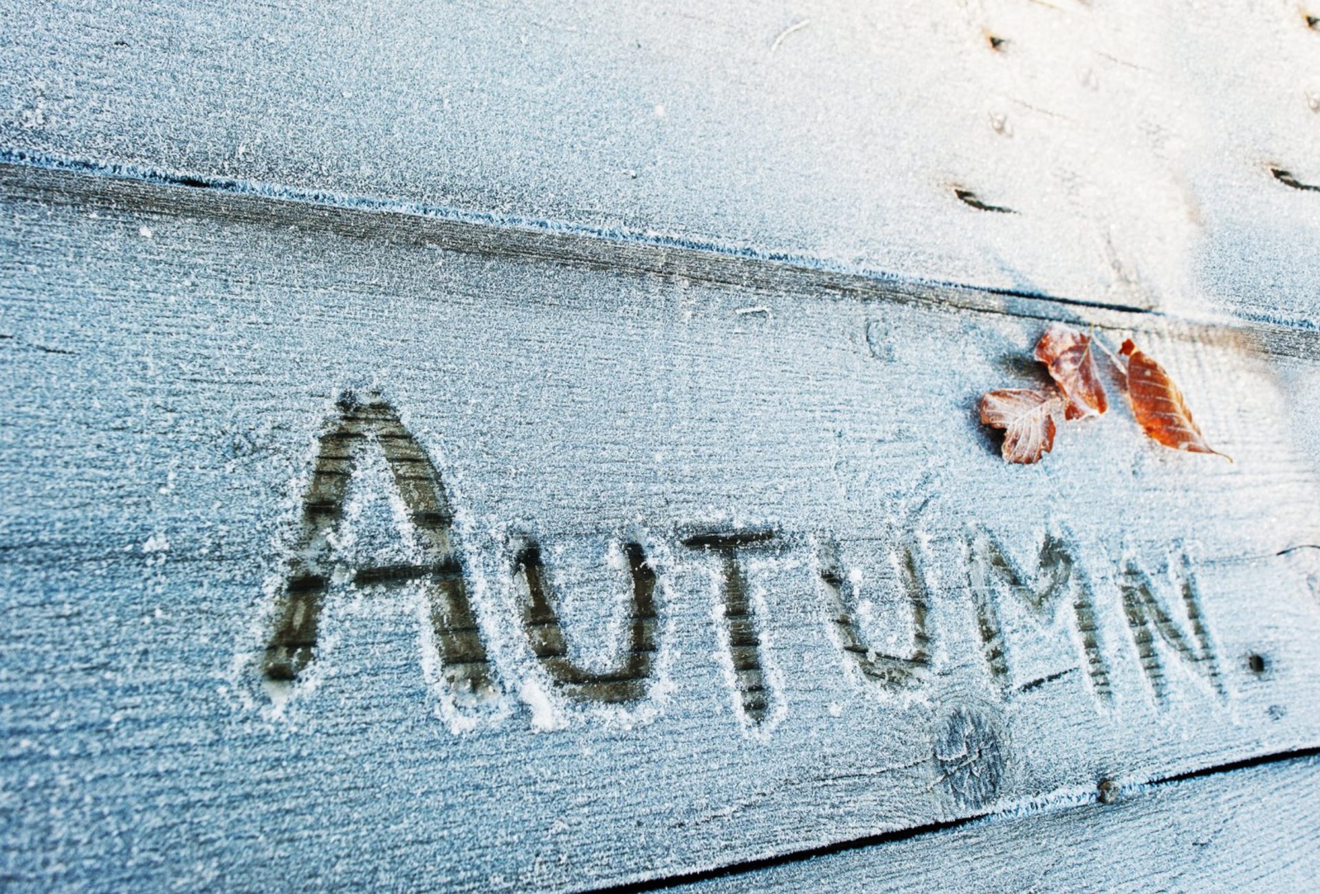 Best Paint Types for Autumn Exterior Projects