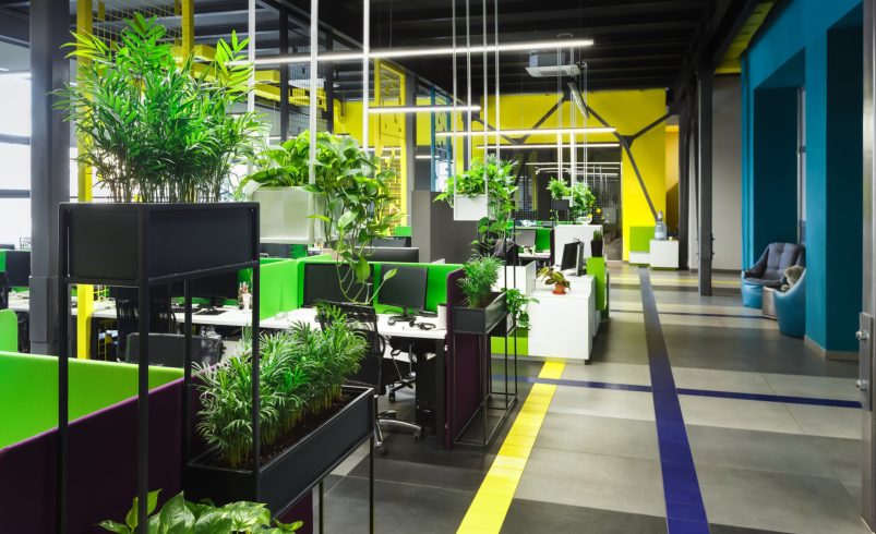 Commercial Spaces Transformed by Color