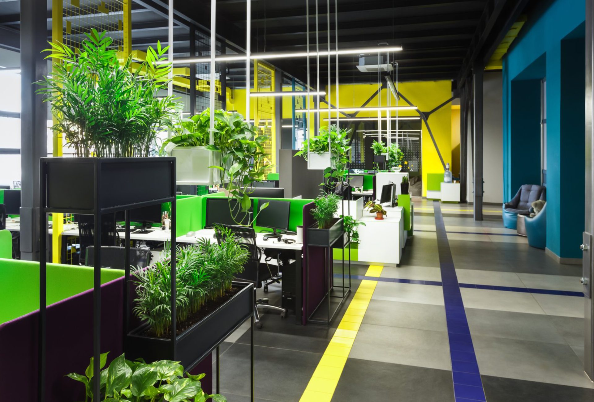 Commercial Spaces Transformed by Color