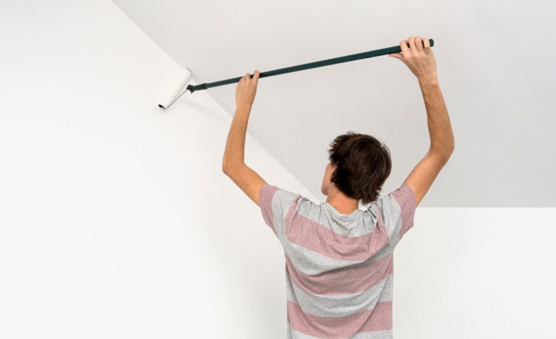 Creative Ceiling Painting Ideas That Wow Guests