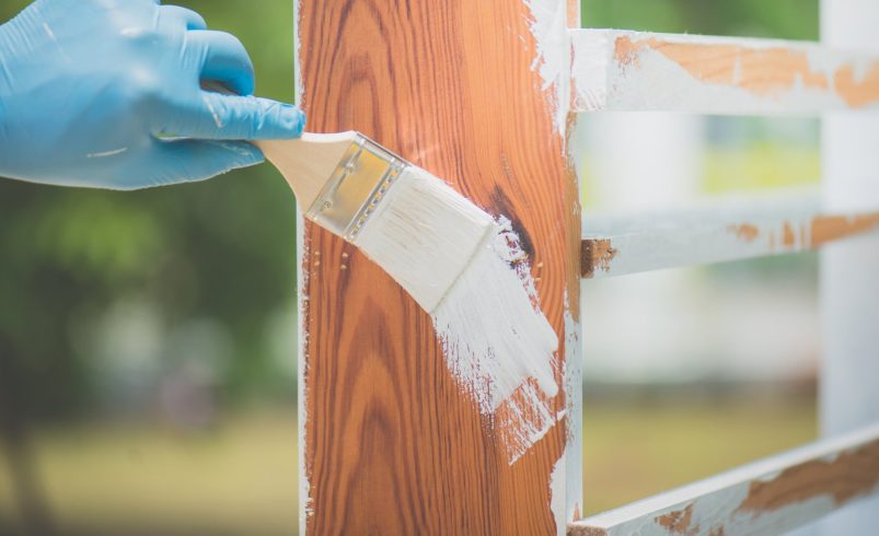 DIY Exterior Painting Tips for Lasting Results