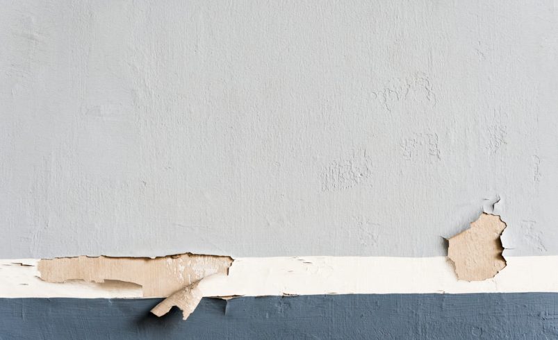 DIY Guide to Patching Holes Before Painting