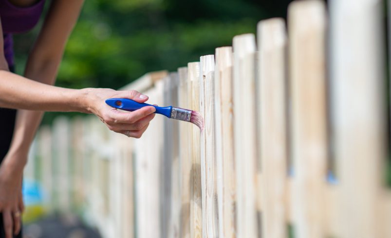 DIY vs Professional Fence Painting: Pros and Cons
