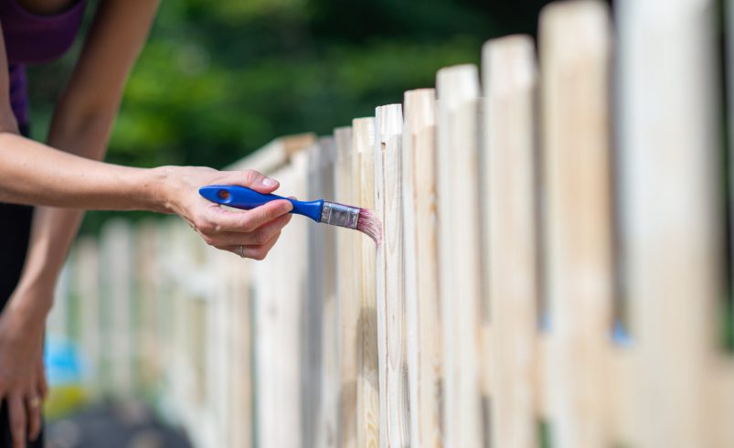 Fence Repair Tips Before Painting