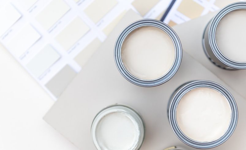 Guide to Choosing the Right Paint Finish for Every Room