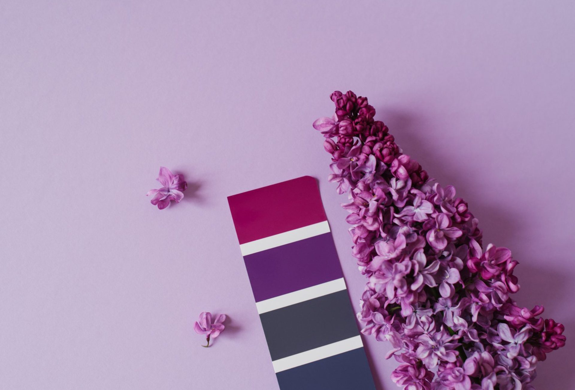 How to Mix and Match Colors for a Contemporary Look
