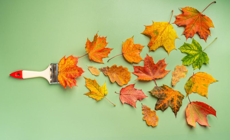 Preparing Your Painted Surfaces for Seasonal Changes