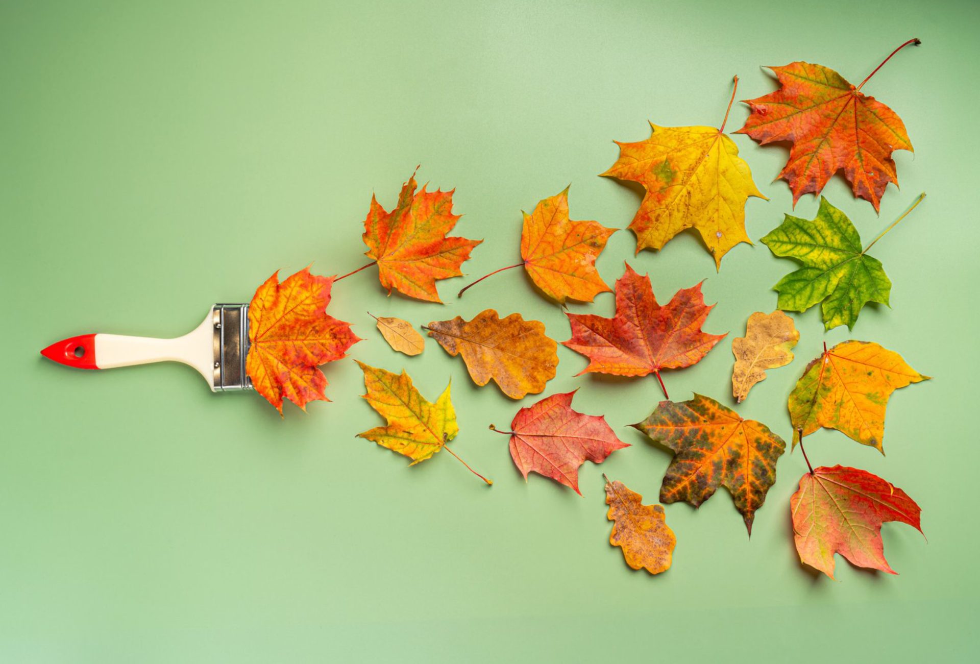 Preparing Your Painted Surfaces for Seasonal Changes