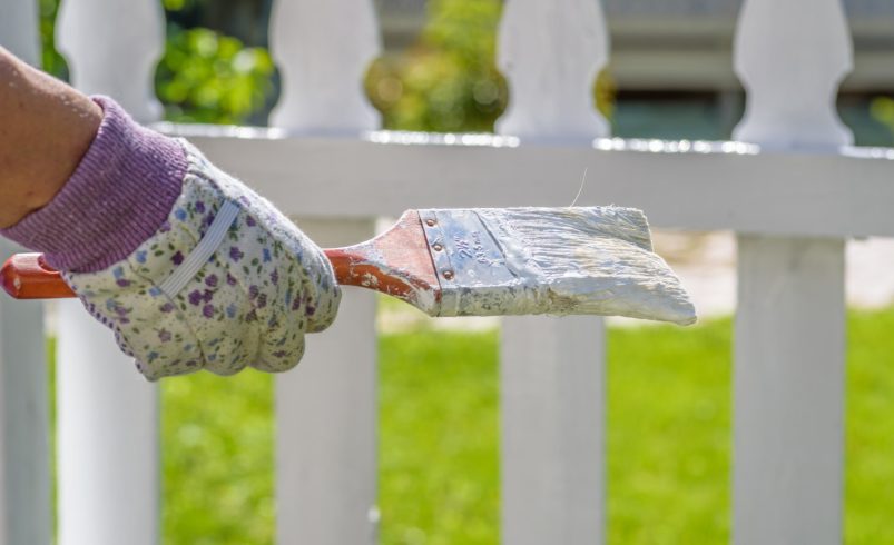 Repair and Paint Your Fence Like a Pro