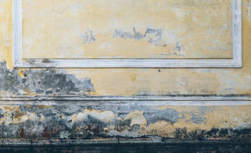 Tips to Prevent Water Damage on Painted Surfaces