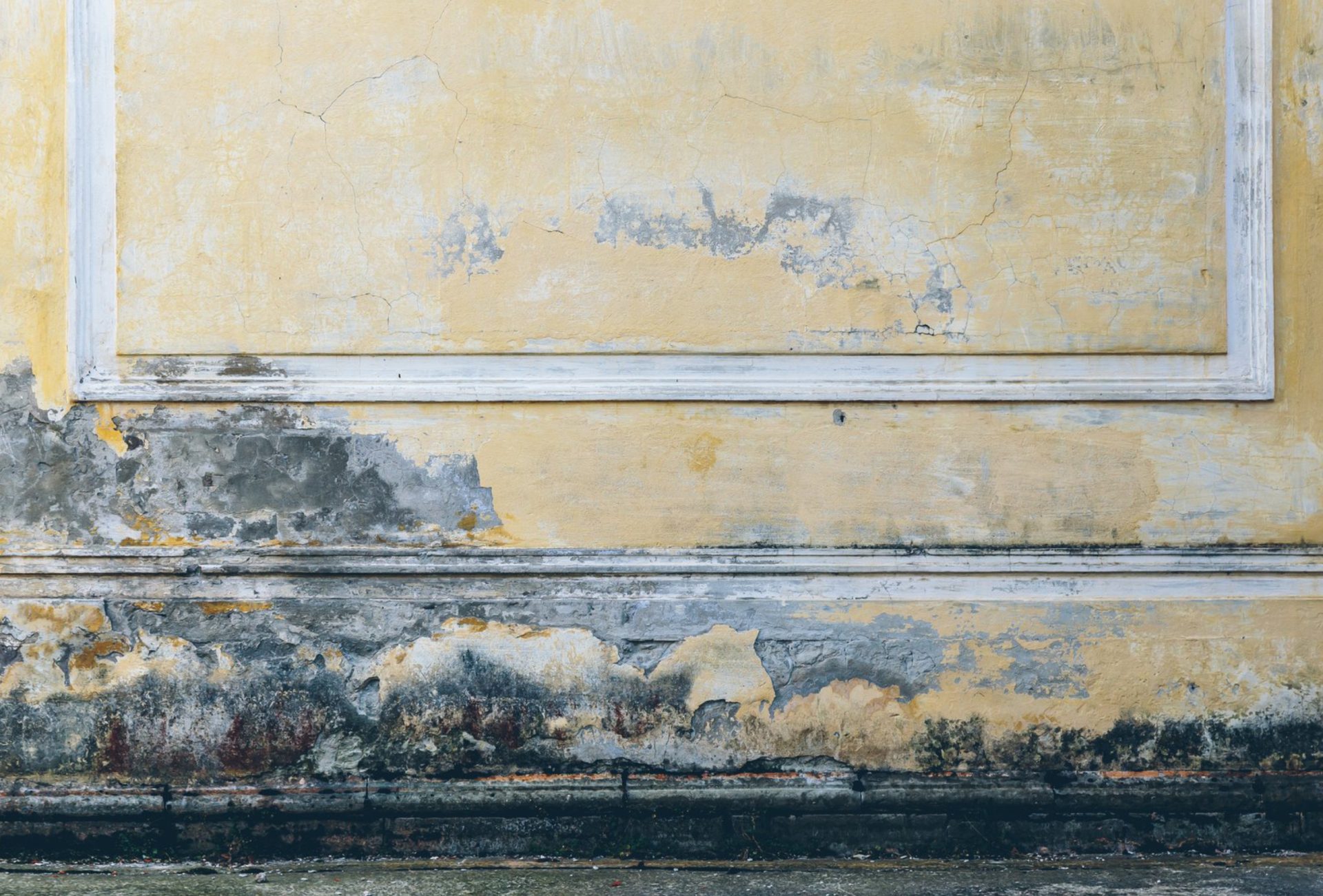 Tips to Prevent Water Damage on Painted Surfaces
