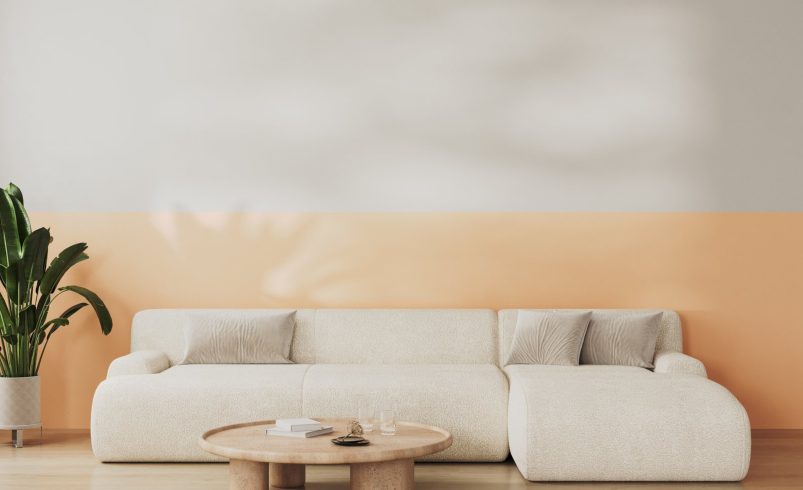 Transform Your Space with Accent Walls and Color Changes