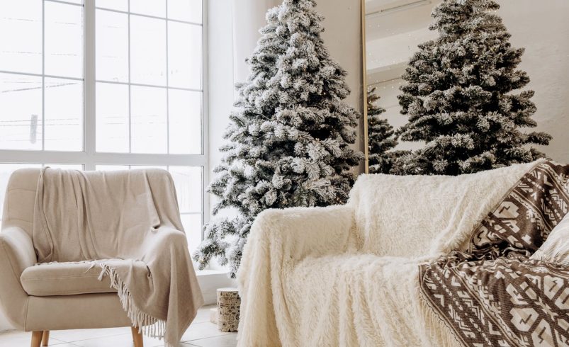 Winter Interior Painting: Tips for Dry, Warm Spaces